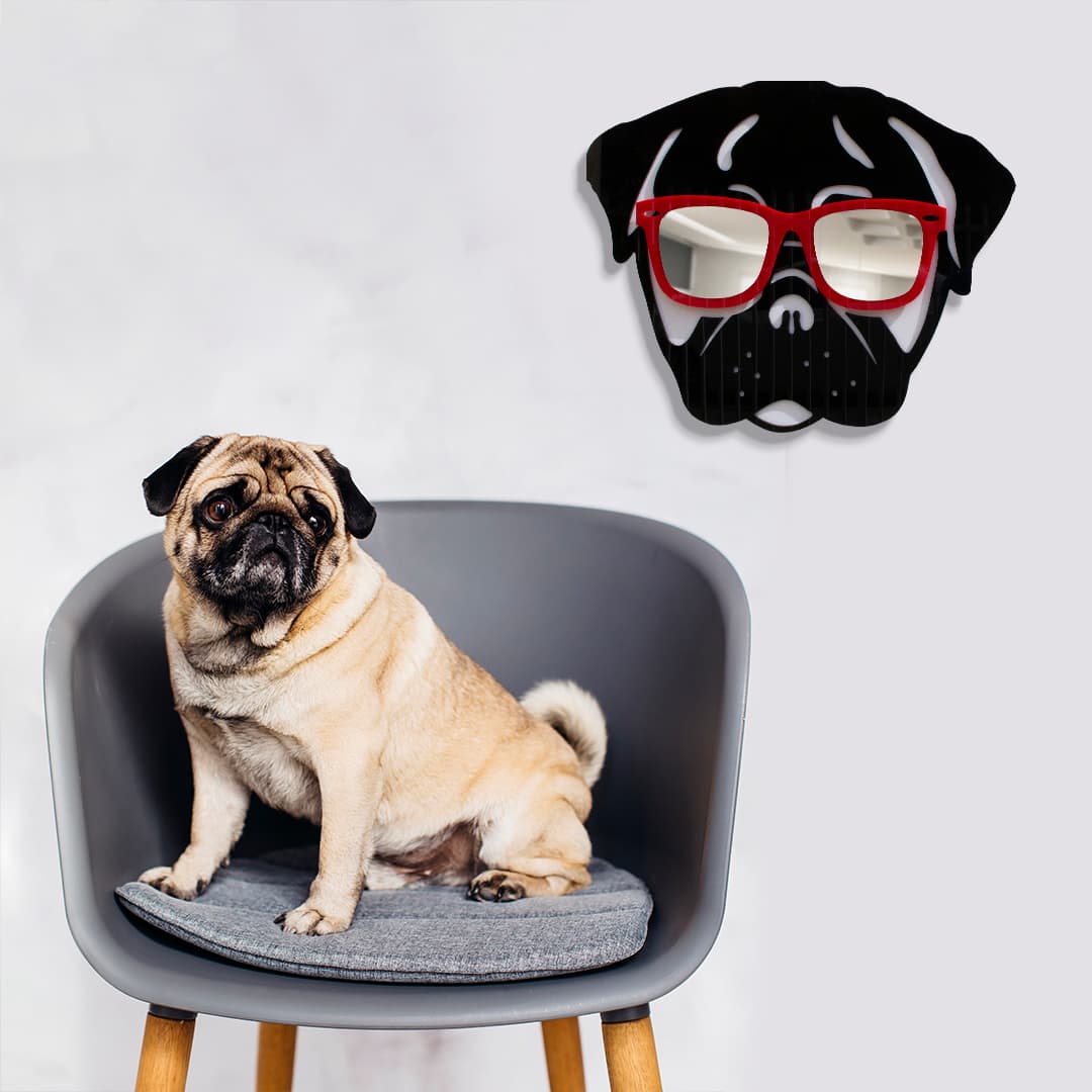 Cool Pug